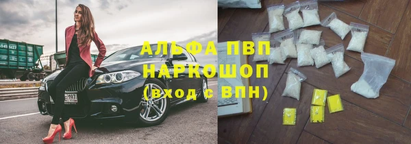 индика Абинск