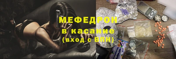 стаф Алексин