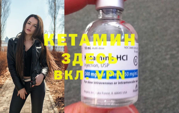 стаф Алексин
