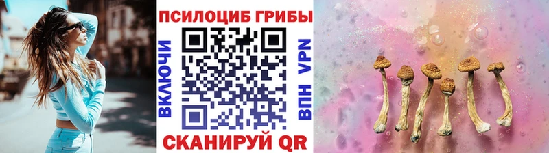 Галлюциногенные грибы MAGIC MUSHROOMS  omg вход  Новоаннинский 